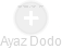 Ayaz Dodo - Vizualizace  propojení osoby a firem v obchodním rejstříku