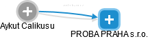 Aykut Calikusu - Vizualizace  propojení osoby a firem v obchodním rejstříku