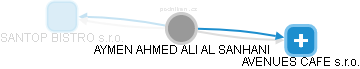 AYMEN AHMED ALI AL-SANHANI - Vizualizace  propojení osoby a firem v obchodním rejstříku
