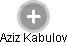Aziz Kabulov - Vizualizace  propojení osoby a firem v obchodním rejstříku