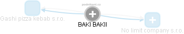  Baki B. - Vizualizace  propojení osoby a firem v obchodním rejstříku