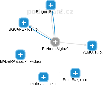 Barbora Ajglová - Vizualizace  propojení osoby a firem v obchodním rejstříku