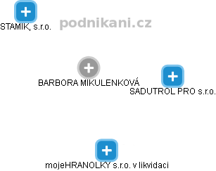 BARBORA MIKULENKOVÁ - Vizualizace  propojení osoby a firem v obchodním rejstříku