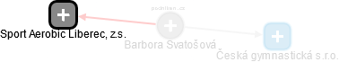 Barbora Svatošová - Vizualizace  propojení osoby a firem v obchodním rejstříku