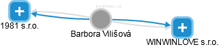 Barbora Vilišová - Vizualizace  propojení osoby a firem v obchodním rejstříku