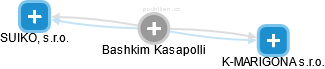  Bashkim K. - Vizualizace  propojení osoby a firem v obchodním rejstříku