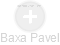 Baxa Pavel - Vizualizace  propojení osoby a firem v obchodním rejstříku