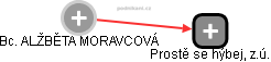 ALŽBĚTA MORAVCOVÁ - Vizualizace  propojení osoby a firem v obchodním rejstříku