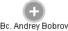 Andrey Bobrov - Vizualizace  propojení osoby a firem v obchodním rejstříku