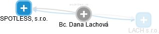 Dana Lachová - Vizualizace  propojení osoby a firem v obchodním rejstříku
