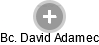  David A. - Vizualizace  propojení osoby a firem v obchodním rejstříku
