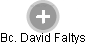 David Faltys - Vizualizace  propojení osoby a firem v obchodním rejstříku