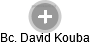 David Kouba - Vizualizace  propojení osoby a firem v obchodním rejstříku