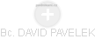 DAVID PAVELEK - Vizualizace  propojení osoby a firem v obchodním rejstříku