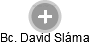 David Sláma - Vizualizace  propojení osoby a firem v obchodním rejstříku