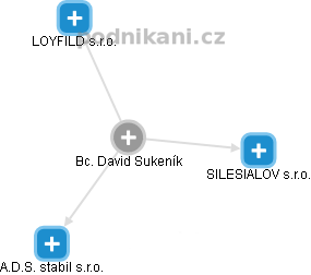 David Sukeník - Vizualizace  propojení osoby a firem v obchodním rejstříku