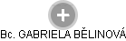 GABRIELA BĚLINOVÁ - Vizualizace  propojení osoby a firem v obchodním rejstříku