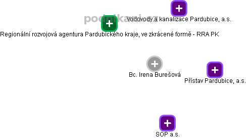 Irena Burešová - Vizualizace  propojení osoby a firem v obchodním rejstříku