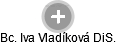 Iva Vladíková - Vizualizace  propojení osoby a firem v obchodním rejstříku