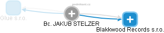 JAKUB STELZER - Vizualizace  propojení osoby a firem v obchodním rejstříku
