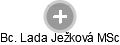 Lada Ježková - Vizualizace  propojení osoby a firem v obchodním rejstříku