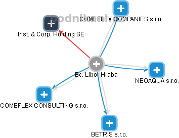 Libor H. - Vizualizace  propojení osoby a firem v obchodním rejstříku