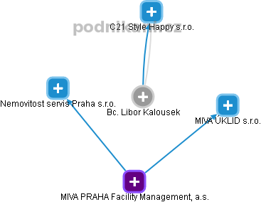 Libor Kalousek - Vizualizace  propojení osoby a firem v obchodním rejstříku