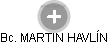 MARTIN HAVLÍN - Vizualizace  propojení osoby a firem v obchodním rejstříku