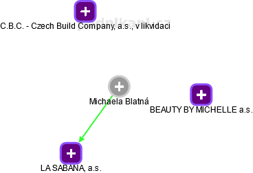MICHAELA BLATNÁ - Vizualizace  propojení osoby a firem v obchodním rejstříku