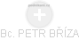 PETR BŔÍZA - Vizualizace  propojení osoby a firem v obchodním rejstříku
