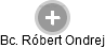 Róbert Ondrej - Vizualizace  propojení osoby a firem v obchodním rejstříku