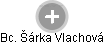 Šárka Vlachová - Vizualizace  propojení osoby a firem v obchodním rejstříku