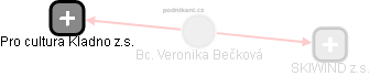  Veronika B. - Vizualizace  propojení osoby a firem v obchodním rejstříku