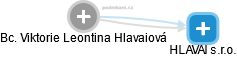 Viktorie Leontina Hlavaiová - Vizualizace  propojení osoby a firem v obchodním rejstříku