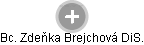 Zdeňka Brejchová - Vizualizace  propojení osoby a firem v obchodním rejstříku