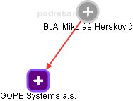 Mikoláš Herskovič - Vizualizace  propojení osoby a firem v obchodním rejstříku