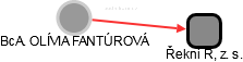 OLÍVIA FANTÚROVÁ - Vizualizace  propojení osoby a firem v obchodním rejstříku
