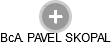 PAVEL SKOPAL - Vizualizace  propojení osoby a firem v obchodním rejstříku