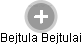Bejtula Bejtulai - Vizualizace  propojení osoby a firem v obchodním rejstříku