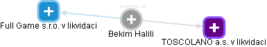 Bekim Halili - Vizualizace  propojení osoby a firem v obchodním rejstříku
