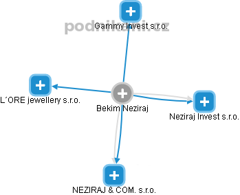 Bekim Neziraj - Vizualizace  propojení osoby a firem v obchodním rejstříku
