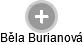 Běla Burianová - Vizualizace  propojení osoby a firem v obchodním rejstříku
