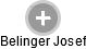 Belinger Josef - Vizualizace  propojení osoby a firem v obchodním rejstříku