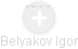 Belyakov Igor - Vizualizace  propojení osoby a firem v obchodním rejstříku