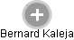  Bernard K. - Vizualizace  propojení osoby a firem v obchodním rejstříku