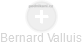 Bernard Valluis - Vizualizace  propojení osoby a firem v obchodním rejstříku