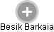 Besik Barkaia - Vizualizace  propojení osoby a firem v obchodním rejstříku