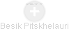 Besik Pitskhelauri - Vizualizace  propojení osoby a firem v obchodním rejstříku