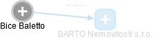 Bice Baletto - Vizualizace  propojení osoby a firem v obchodním rejstříku
