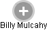Billy Mulcahy - Vizualizace  propojení osoby a firem v obchodním rejstříku